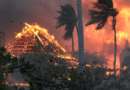 Incendios en Hawái, el mayor desastre en siglos; van 110 muertos