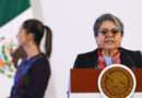 Detalla Buenrostro Consejo del Sistema Nacional de Acceso a la Información