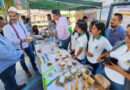Pone en marcha Sader plan para comercialización justa del maíz en Chiapas