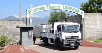 Plan Michoacán: Suman 155 detenidos en menos de un mes