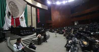 Citan a Gertz Manero para comparecer ante Comisión de la Permanente