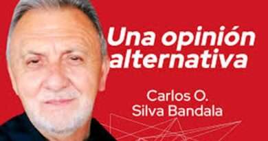 RADIOGRAFÍA DE UNA SUPERVIVENCIA PARTIDISTA: El reto de postular en igualdad mientras se compite en la atomización del voto