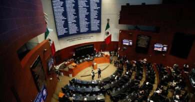 Ignacio Mier: reforma electoral apegada a la convicción de Morena en torno a la austeridad