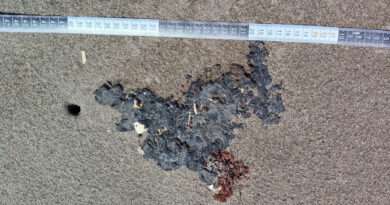 Derrame de hidrocarburo en Golfo de México afecta a siete áreas naturales protegidas: Conanp