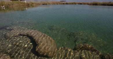 Tribunal confirma protección del acuífero de la Región Lagunera