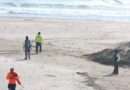 Recogen 20 kilos de petróleo en playas de Boca del Río