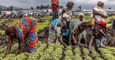 China establece aranceles cero para productos agrícolas provenientes de República del Congo