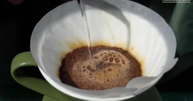 Café latinoamericano logra fuerte crecimiento en su reconocimiento y popularidad en China