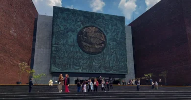 Diputados declaran constitucionalidad de la reforma en materia de límite a ‘pensiones doradas’