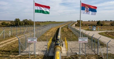 Hallan explosivos “devastadores” cerca de ducto serbio que lleva gas a Hungría