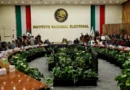 INE pide a partidos evitar simulaciones rumbo a elecciones del próximo año