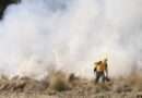 Reportan 9 incendios en abril