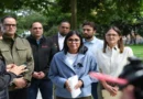 Delcy Rodríguez agradece ayuda de Israel en medio de la emergencia tras terremotos